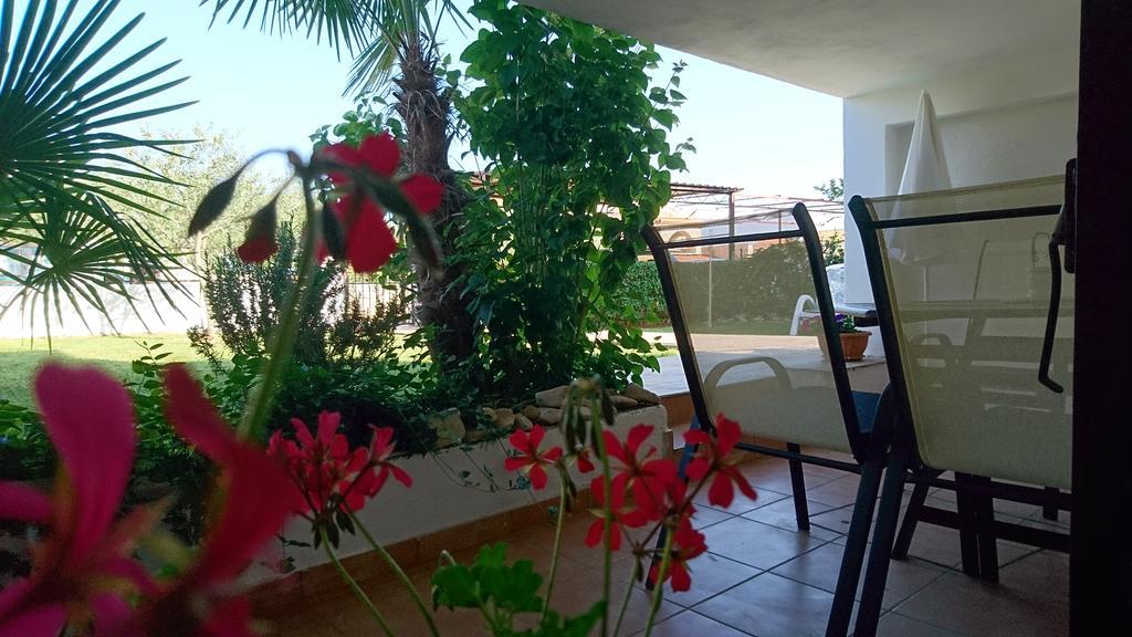 Apartment Devcic Poreč Eksteriør bilde